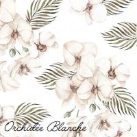 Orchidée Blanche